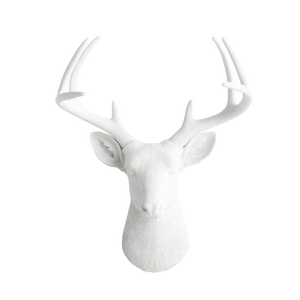 Animal Bust - White Faux