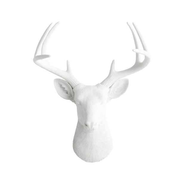 Animal Bust - White Faux